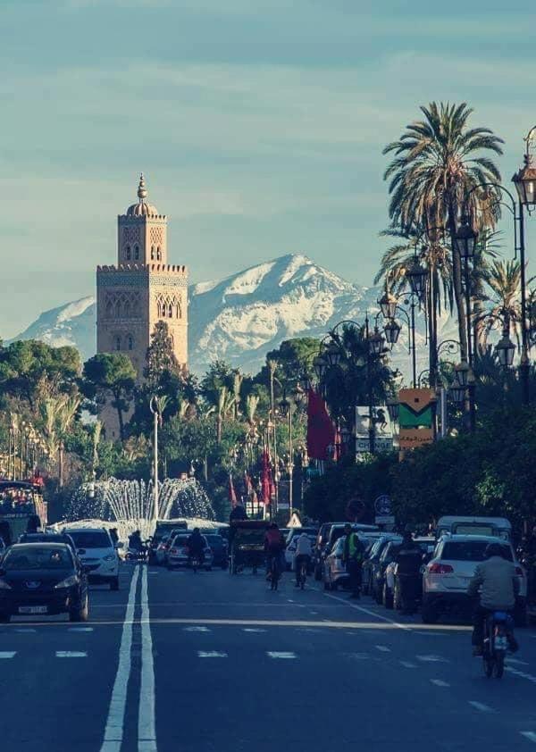 Authentic Moroccan Charm Apartment In Marrakech Terrace Marakeş Dış mekan fotoğraf